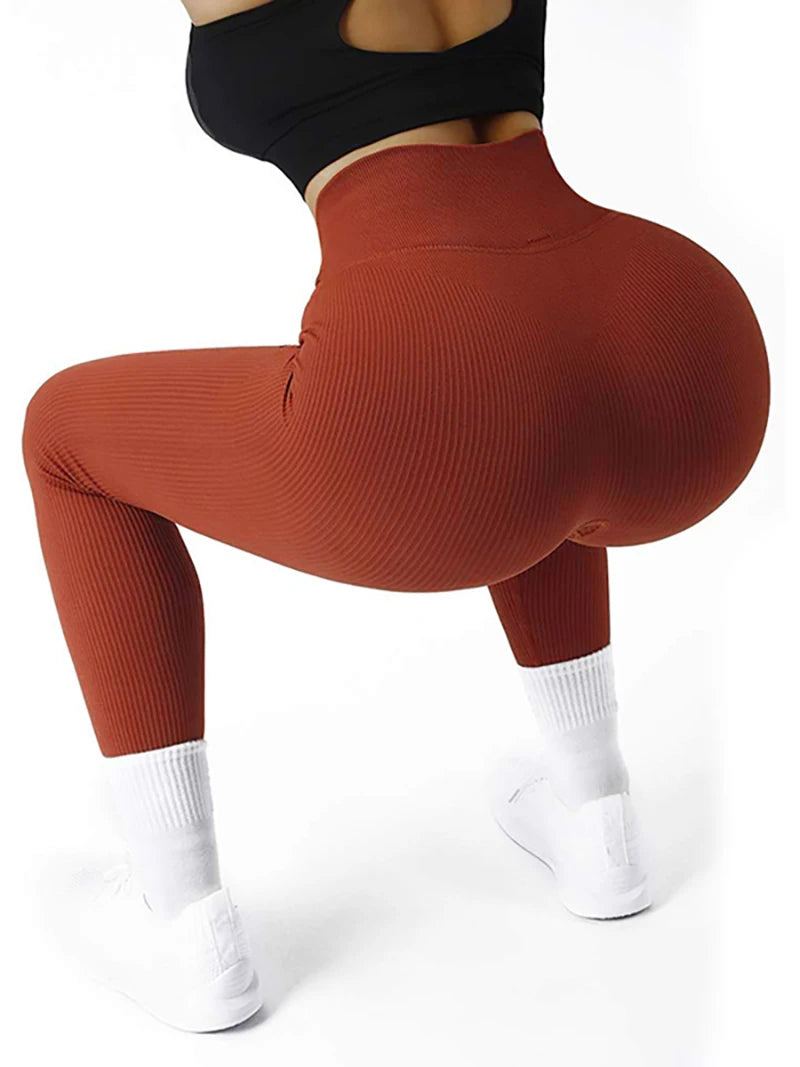 High Waisted Seamless Yoga Leggings  Fall & Winter